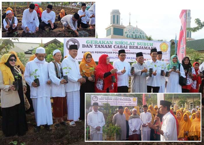 Shalat Subuh dan Tanam Cabai Berjamaah, Kiat BPTP Kaltim Dukung Gertamcabai